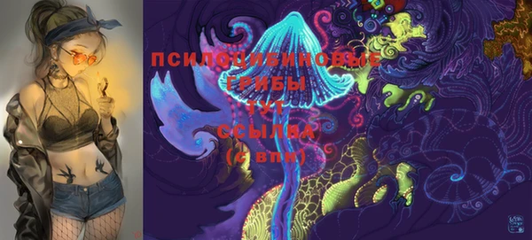 кокс Арсеньев