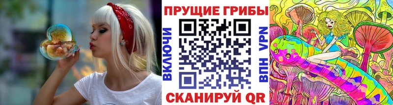 Псилоцибиновые грибы Cubensis  Полярные Зори 