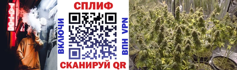 Каннабис тримм  где купить наркоту  Полярные Зори 